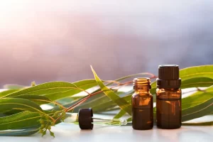 1296x728_9_Unexpected_Benefits_of_Eucalyptus_Oil-CoughRelief