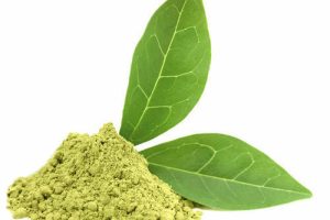 Green-Tea-Extract