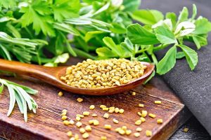 T10SHB-of-Fenugreek-Seeds-1