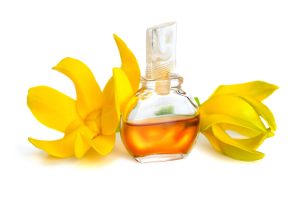 Ylang-ylang-oil-2