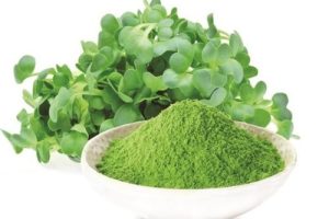 alfalfa-leaf-powder