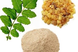 boswellia-serrata-extract-1629551215-5952759