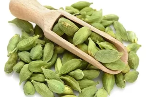 cardamom-500x381-500x500