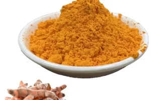 curcumin95-turmeric-extract-powder-500x500