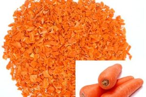 dehydrated-carrot-559767