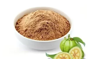 garcinia-cambogia-extract-powder-500x500