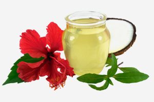 hibiscus-oil