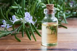 rosemary-essential-oil-1-500x500