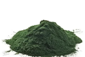 spirulina-powder-500x500