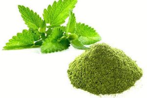 spray-dried-mint-powder