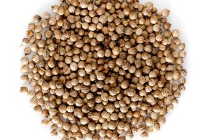 whole-coriander-seeds__50854